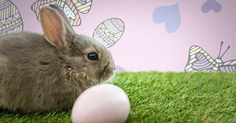 Easter rabbit with egg in front of pattern