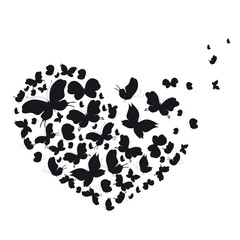 black heart, butterfly, isolated on a white
