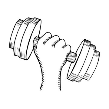 Arm muscle with dumbbell