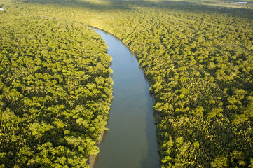 Fototapeta premium Aerial view of mangrove forest around Kuching and Sarawak River, Borneo Malaysia.
