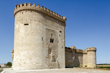 Castle of Arevalo in Avila