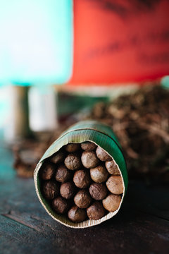 Family run cigar farm in Vinales, Cuba