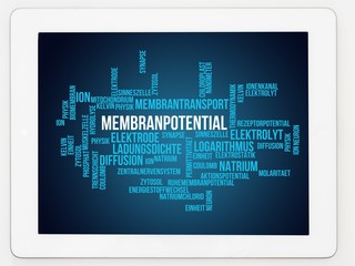 Membranpotential