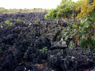 Cayman Islands Hell