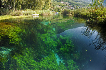 Fototapeta na wymiar Crystal clear water and macroalgae in Kadınazmağı Creek Akyaka Muğla Turkey