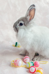 Rabbit with Easter eggs