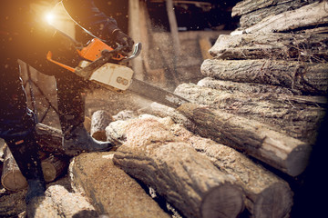 Cutting wood with chainsaw at backyard, lumberjack work profession.