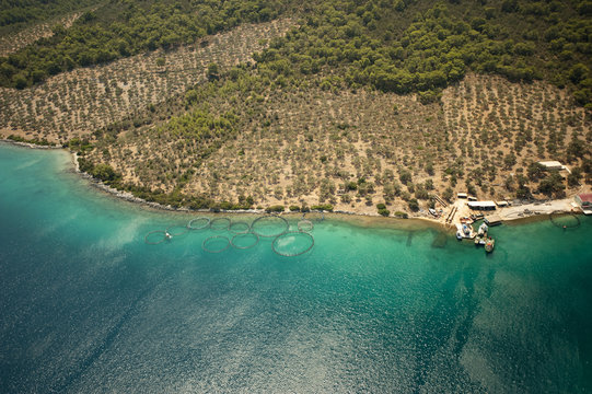 Aerial view of open water aquaculture facility G&uuml;ll&uuml;k Bay Bodrum Turkey