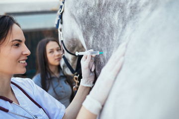 Vet giving injection to a horse. Selective focus on vet's hand.