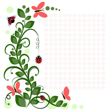 vector drawing with flowers and insects for your text