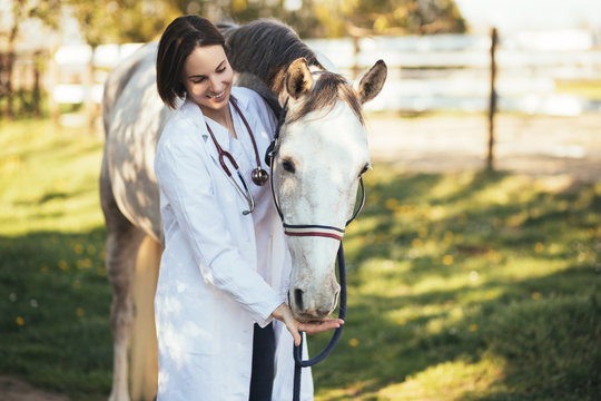 Fototapeta Vet petting a horse outdoors at ranch. Selective focus on horse.