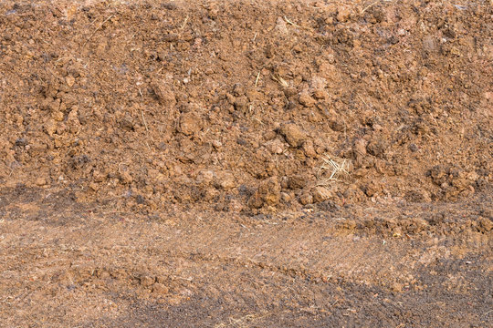 Surface of pile of loamy soil.