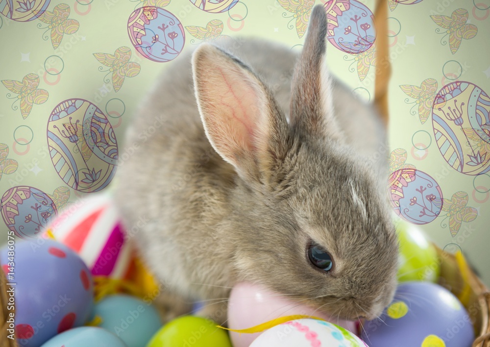 Poster easter rabbit on eggs in front of pattern
