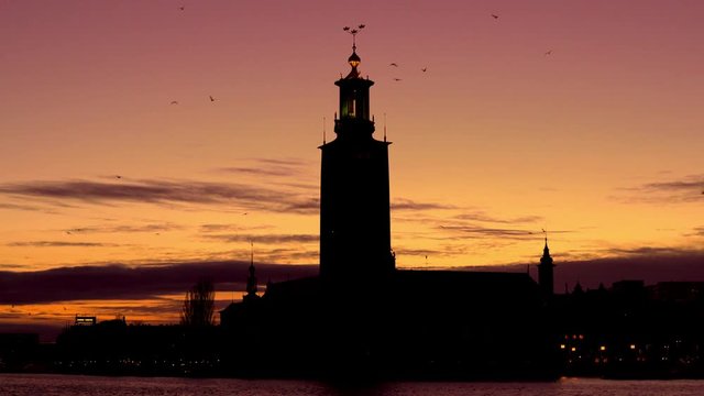 Sunset over Stockholm with a flock of birds flying in front of the city hall 