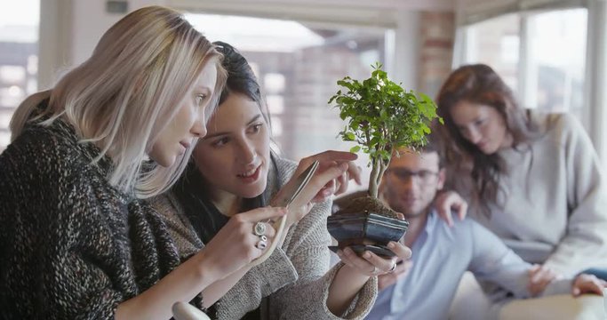 two women friends people enjoy relaxing by pruning bonsai tree indoor in modern industrial house. 4k handheld video shot