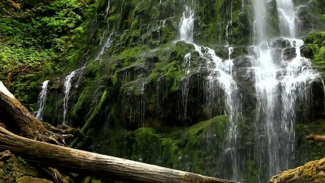 View of Waterfall with Green Mossy Rocks