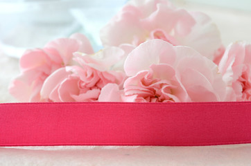 ピンクのカーネーション　

