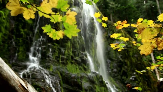 View of Waterfall through Leaves in Fall