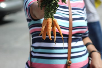 Cropped image of woman holding fresh organic carrots from local produce farm