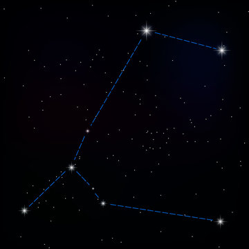 constellation of great dog . vector image of a constellation
