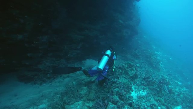 Male scuba diver swims next a coral reef, Indian Ocean, Maldives
