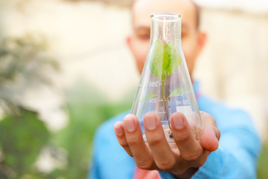 Man biologist pouring liquid from test tube in greenhouse. Agriculture concept.