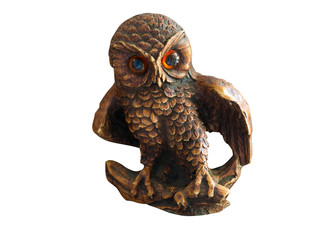 Cute  owl on white background.