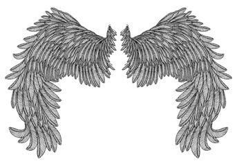 Obraz premium Hand drawn vintage wings pair. Etched woodcut vintage style pair of wing. Sketch vector.