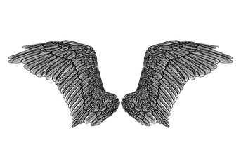 Wings pair set. Hand drawn detailed bird wings. Card, poster, t-shirt, smart phone, CD print design. Vector.