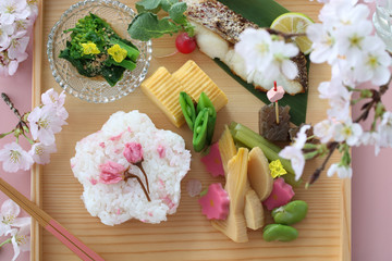 桜ごはんのお花見ランチ