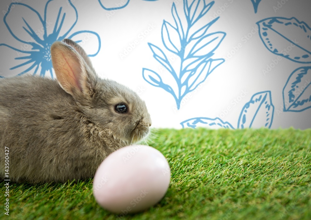 Poster easter rabbit with egg in front of pattern