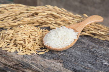 Grain and rice on wood table