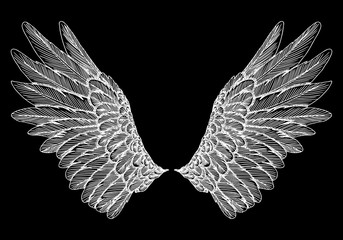 Spread set of wings. Hand drawn etched woodcut vintage style pair of wing collection vector.