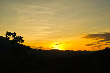 Fototapeta na wymiar Beautiful landscape image with trees silhouette at sunset