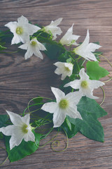 beautiful wreath of Ivy gourd flower and leaf (coccinia grandis)