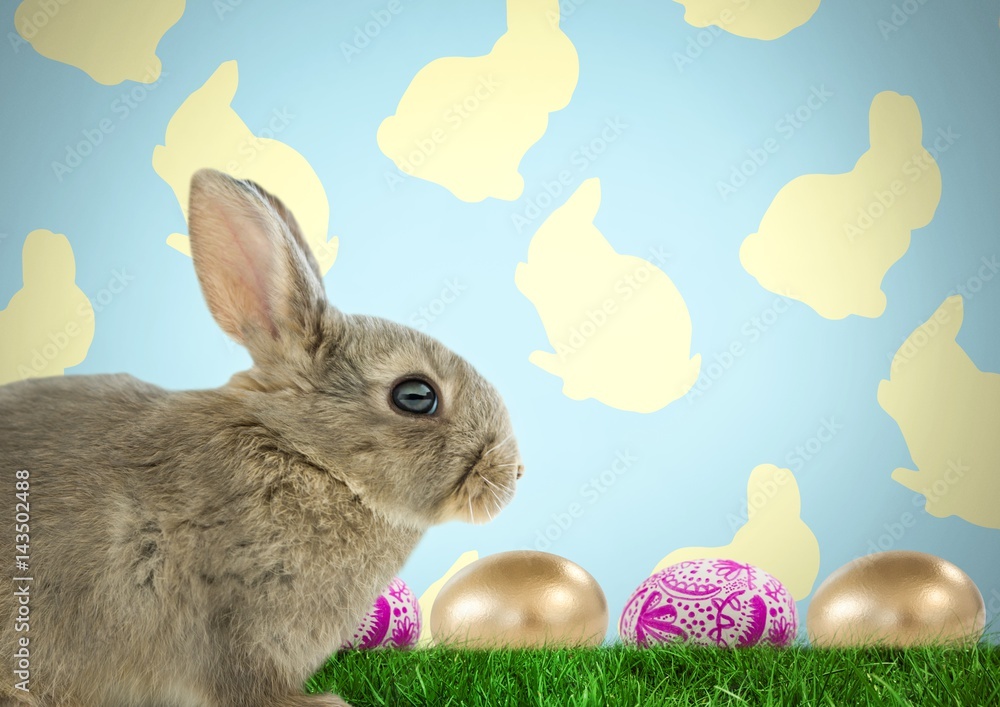 Poster easter rabbit with eggs in front of pattern