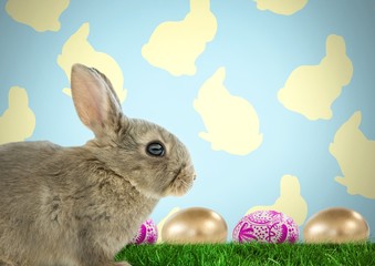 Easter rabbit with eggs in front of pattern