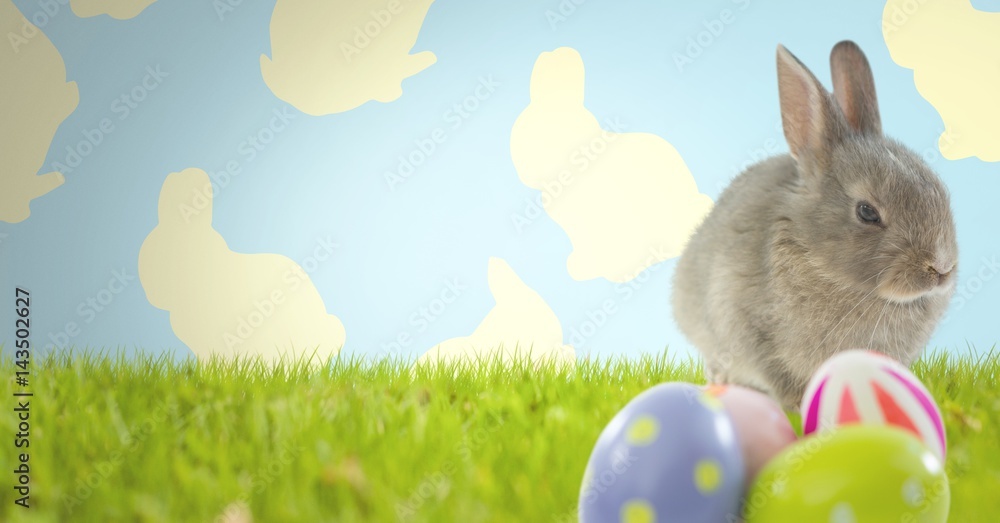 Poster easter rabbit with eggs in front of pattern