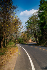 Obraz premium Asphalt Country road