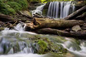 Fototapeta premium Waterfall in Carolinian forest