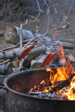 Roasting Hot Dogs Over Campfire