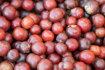 Fresh ripe red plums as a background