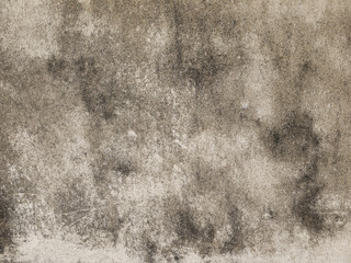 Obraz premium Aged or grunge concrete wall texture