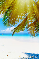 Fototapeta na wymiar Photo of a tropical beach on the sunny day