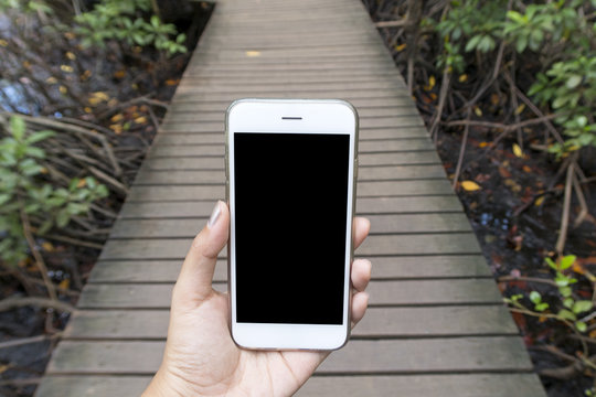 woman hands holding smartphone on wooden bridge background,
