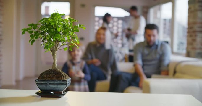 modern family little girl with dad and mom indoor in modern industrial house watering bonsai. caucasian. 4k handheld slow motion video shot