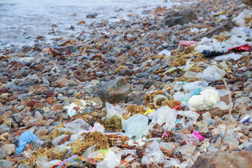 Garbage on the rock shore