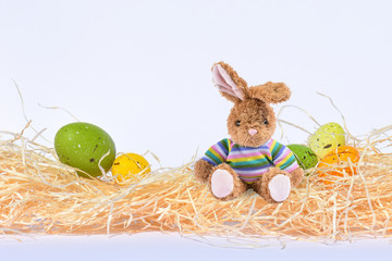 Ein Osterhase in einem Nest mit Osterei Oster Dekoration Tradition