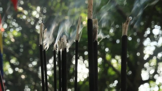 the burning joss sticks
