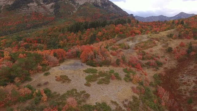 Aerial view of Fall color on landscape of foliage.